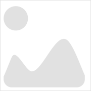 特約專項(xiàng)服務(wù)